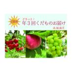 果物の詰合せ 大 フルーツ 年3回くだもの定期便セットB