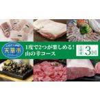 牛肉 S999-T07_ 定期便3回 1度で2つが楽しめる