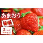 ふるさと納税 いちご 福岡県 那珂川市 2026年2月より発送 『自然環境農法』で育てた福岡県産 あまおう 約285g×2パック おおきべりー株式会社 那珂川市 フル…