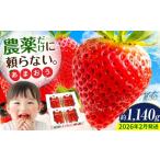 ふるさと納税 いちご 福岡県 那珂川市  2026年2月より発送 『自然環境農法』で育てた福岡県産 あまおう 約285g×4パック おおきべりー株式会社 那珂川市 フル…