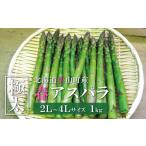 ふるさと納税 野菜類 アスパラガス 北海道 栗山町  先行予約 極太 JAそらち南 春の味覚「グリーンアスパラガス」2L〜4L 1kg前後　YC013