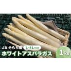 fu.... налог овощи вид спаржа Hokkaido каштан гора блок предшествующий предварительный заказ весна самый JA... юг. тест .[ белый спаржа ]L~4L 1kg передний и задний (до и после) YC012