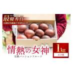 果物類 2027年発送 沖縄情熱農園 栽培期間中農薬不使用栽培
