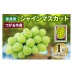 ぶどう マスカット シャインマスカット 1房 約550g以上