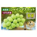 ぶどう マスカット シャインマスカット 2房