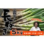 fu.... налог овощи вид лук порей Iwate префектура . камень блок Iwate префектура производство высшее приятный . земля имеется длина лук порей 5kg стандарт количество 25шт.@~ 35шт.@ высота . сельское хозяйство .| длина лук-батун длина . лук порей лук-батун . белый лук порей белый лук-батун белый...