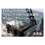 体験チケット スキューバダイビング ライセンス
