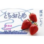 ふるさと納税 いちご 茨城県 鉾田市 3月発送 いちご とちおとめ特選デラックス 10〜22粒×2箱(4パック) 苺 イチゴ とちおとめ 選べる 発送月 発送回数 個数…