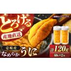 ふるさと納税 ウニ 長崎県 壱岐市 生ウニ 壱岐の生うに 60g×2本セット《壱岐市》 大幸物産 JEH001 紫うに 生うに ウニ うに 生ウニ 雲丹 ムラサキウニ 紫うに…