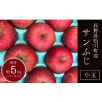 ふるさと納税 りんご 長野県 松川町 KR16-25A りんご サンふじ 贈答 小玉 約5kg(17〜20玉) / 11月下旬頃〜配送予定 // 先行予約 長野県 南信州 リンゴ 林…