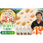人参 大根 他根菜 特別栽培農産物 認定 地元