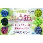 ふるさと納税 山梨県 笛吹市 ＜2024年先行予約＞ ぶどう狂い 定期便 シャインマスカット含む5種食べ比べ 105-005 | 葡萄 先行予約 ぶどう定期便 葡萄定期便 シ…