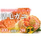 ふるさと納税 岩手県 大槌町 三陸産 三陸活毛ガニ 300g×2杯（2尾）【期間限定3月〜4月発送】　天然 国産 冷蔵 三陸 直送 濃厚 かに 蟹 カニ 毛ガニ 毛蟹 毛が…