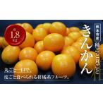 みかん 柑橘類 種ごと 丸ごと きんかん 約1.8kg