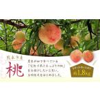もも 桃 約1.8kg