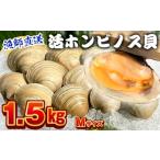 魚貝類 漁師直送 活ホンビノス貝1.5kg