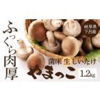 fu.... налог овощи вид .. . Gifu префектура внизу . город время ограничено (2025 год 11 месяц c последовательный отправка ). пол сырой .. набор 1.2kg.... шиитаке сырой ...... внизу . горячие источники...