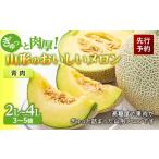 ふるさと納税 メロン メロン青肉 山形県 - 《先行予約 2026年度発送》ぎゅっと肉厚 山形のおいしいメロン 青肉 青肉メロン メロン 青肉 デザート フルーツ 果…