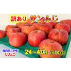 ふるさと納税 りんご 青森県 三戸町 訳あり りんご サンふじ 約10kg(24〜40玉) 2025年産・先行予約 2026年1月以降順次発送予定 青森県三戸町産 2026年1月以…