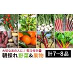 fu.... налог комплект *... Fukuoka префектура нить остров город .. для нет пестициды овощи комплект + фрукты (8 товар передний и задний (до и после) ){ нить остров } органический nagamitsu ферма AGE022