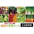 fu.... налог комплект *... Fukuoka префектура нить остров город Fukuoka префектура нить остров производство утро .. овощи комплект ( 12 товар передний и задний (до и после) ) { нить остров } органический nagamitsu ферма AGE023