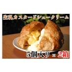 菓子 パイ生地の生乳カスタードシュークリーム 2箱