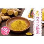 加工品等 屋久島産 春ウコン粉末 100g
