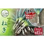 野菜類 ねぎ 訳あり 特産 下仁田ねぎ Sサイズ 15本