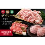 牛肉 セット 全3回定期便 三栄のデイリーセット