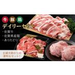 牛肉 セット おうちごはんを応援 三栄のデイリーセット