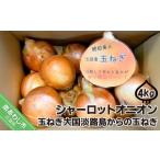 野菜類 玉ねぎ 淡路島極熟玉葱 シャーロットオニオン 4kg