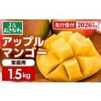 ふるさと納税 沖縄県 八重瀬町 【先行受付】【2024年発送】JAマートぐしちゃんの産直アップルマンゴー約1.5kg【良品・白箱】【価格改定】