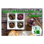 加工品等 漬物 京のお野菜漬けセット 10種