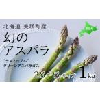 ふるさと納税 野菜類 アスパラガス 北海道 美瑛町 先行予約 幻のアスパラ 2S〜Sサイズ 1kg ラスノーブル <令和7年産 > 北海道 美瑛町 本山農場 グリー…