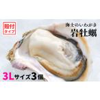 ふるさと納税 牡蠣 生牡蠣 島根県 海士町 いわがき殻付き 3Lサイズ 3個 岩牡蠣 生食可 冷凍 牡蛎 牡蠣 かき カキ 岩牡蠣 いわがき 冷凍 父の日 母の日 バーベ…