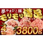 豚肉 ロース 夢やまびこ豚 モリモリ満足セット 3.8kg