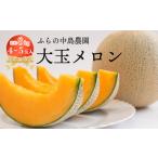 ふるさと納税 メロン メロン赤肉 北海道 富良野市 富良野市産 大玉メロン8kg箱(4〜5玉入り) 1268354