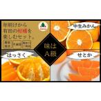 果物類 みかん 定期便 年明けから有田の柑橘を楽しむセット