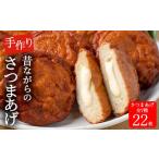 かまぼこ 練り製品 さつまあげ 寺田屋 手づくり
