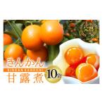 ふるさと納税 和菓子 宮崎県 美郷町 完熟 きんかん 甘露煮 170g×10袋 セット 農林産物直売所 美郷ノ蔵 宮崎県 美郷町 31ab0081 おせち デザート 宮崎県産 美…