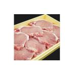 豚肉 ステーキ 中 肉 能登豚 ロース テキカツ 100g×10枚
