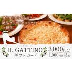 お食事券 食事券 カード 3000円分