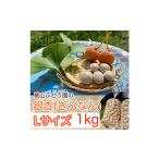 野菜類 ぎんなん 殻付き Lサイズ 約1kg