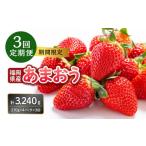 ショッピングふるさと納税 いちご ふるさと納税 いちご 福岡県 八女市 福岡県産あまおう 270g×4パック 3回定期便 いちご 苺 イチゴ フルーツ あかい まるい おおきい うまい 人気 果物 福岡県…
