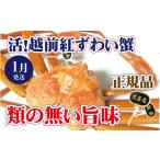 ふるさと納税 カニ ずわいガニ 福井県 越前町 活 越前 紅ずわいがに × 1杯 旨味満点 紅ズワイガニ 紅ずわい蟹 かに カニ 蟹 姿 生 ボイル 冷蔵 福井県 1月発…
