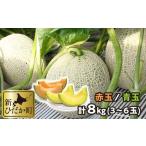 ふるさと納税 メロン メロン赤肉 北海道 新ひだか町  2026年 7月中旬より発送 北海道産 メロン 赤肉 青肉 8kg 3〜6玉 食べ比べ セット 北海道 めろん 果物 フ…