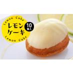 ケーキ カステラ フルーツケーキ 令和8年熊本地震復興支援