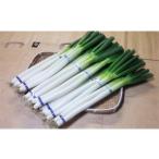 fu.... налог овощи вид лук порей Tottori префектура юг часть блок KN01 юг часть блок производство белый лук порей ( корень имеется )&lt; отгрузка начало 12 месяц предварительный заказ &gt;