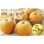 ふるさと納税 梨 熊本県 八代市  先行予約 豊水梨 約5kg (6〜22玉) 梨 なし ナシ フルーツ くだもの 果物 旬 熊本県 八代市 2026年8月中旬より順次発送