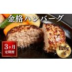 肉 ハンバーグ 定期便 全3回 格之進 金格ハンバーグ 計2.16…